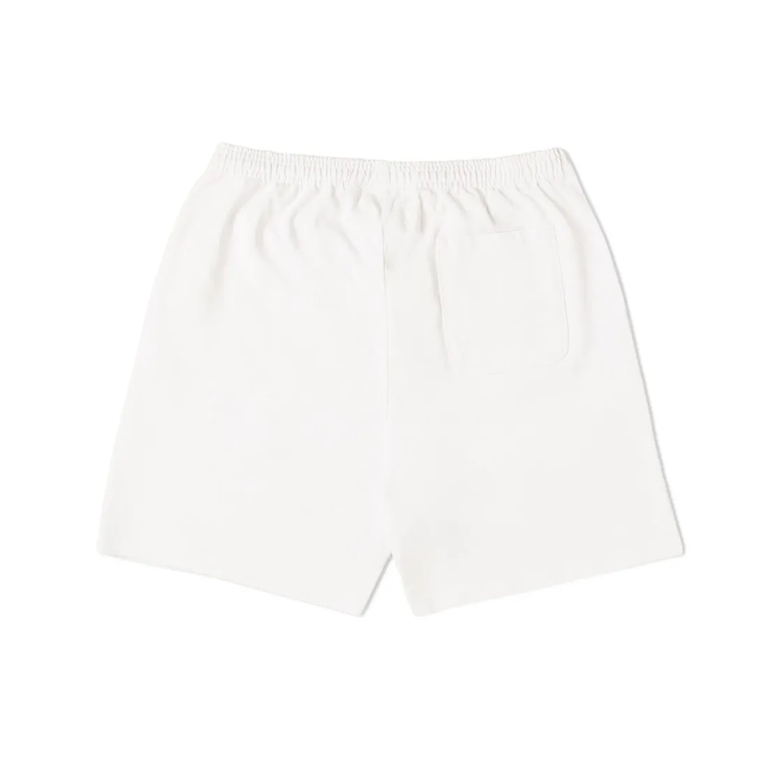 Honor The Gift Men Physical Education Shorts (white)